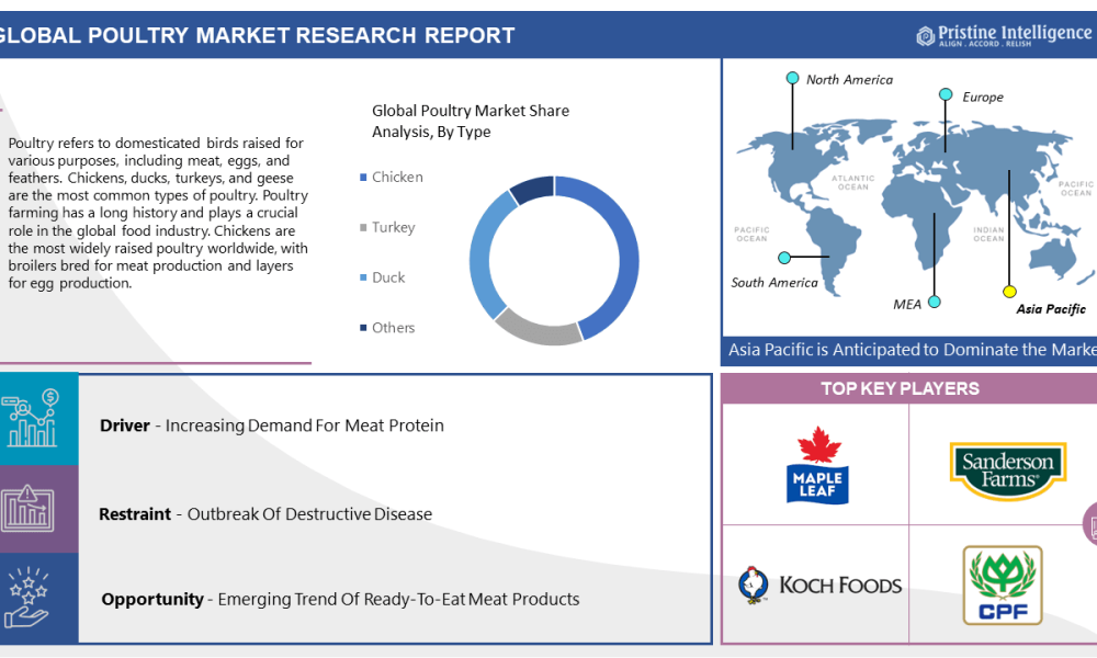 Global Poultry Market