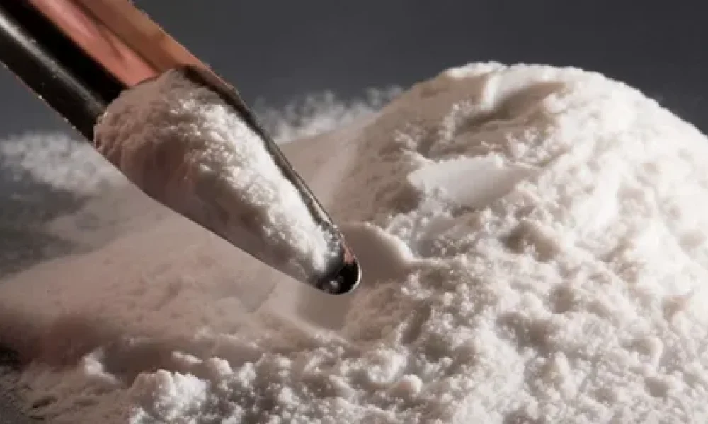 Precipitated Silica Market