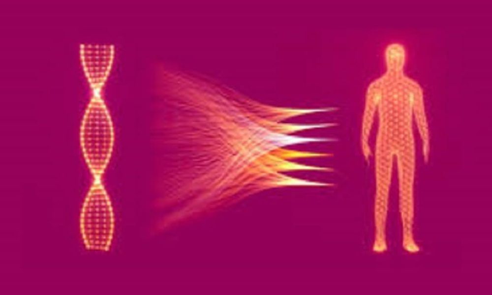 Precision Medicine