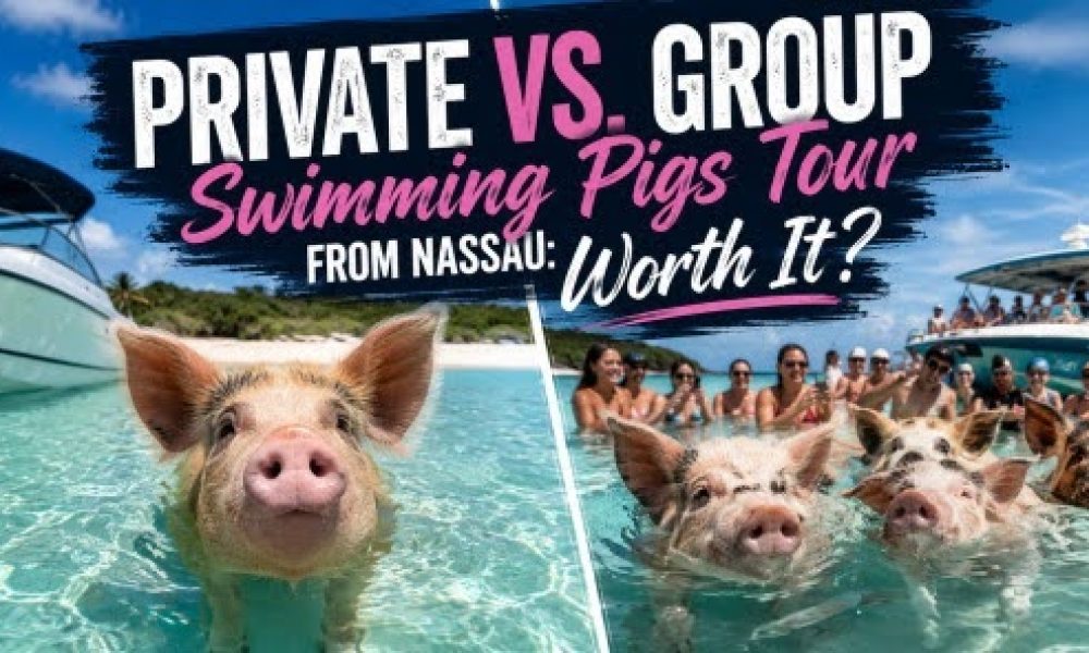 Private vs. Group Swimming Pigs Tour from Nassau: Worth It?