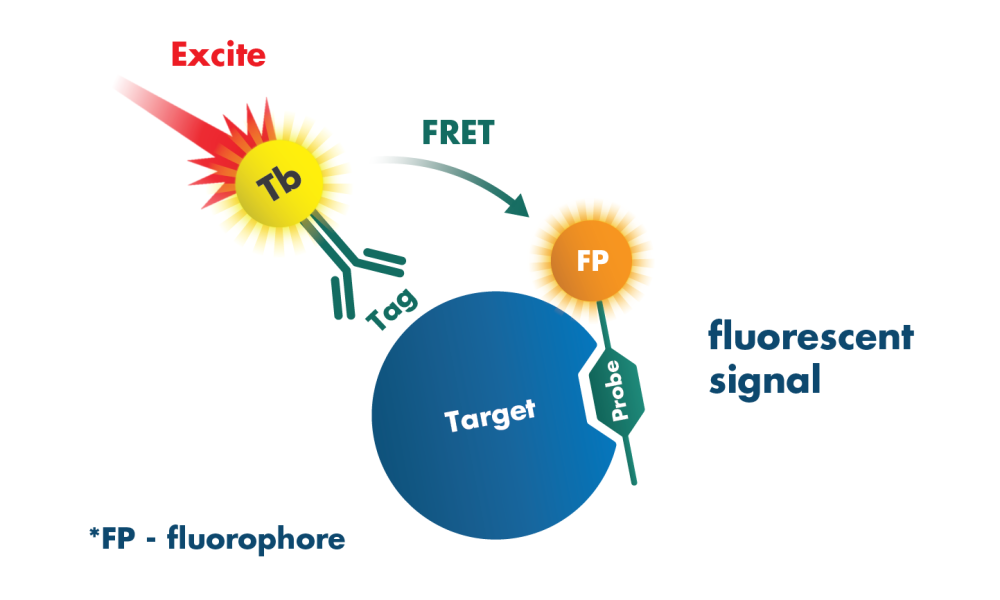 Kinase Biology Tools and Services Market
