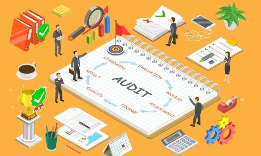 Process Audit Services Market
