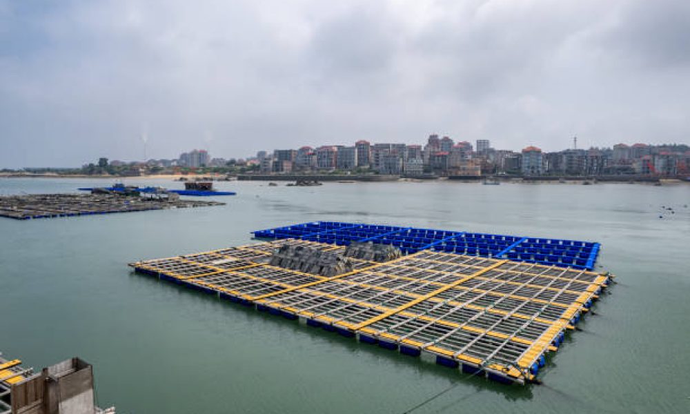 Artificial fish farming equipment at sea