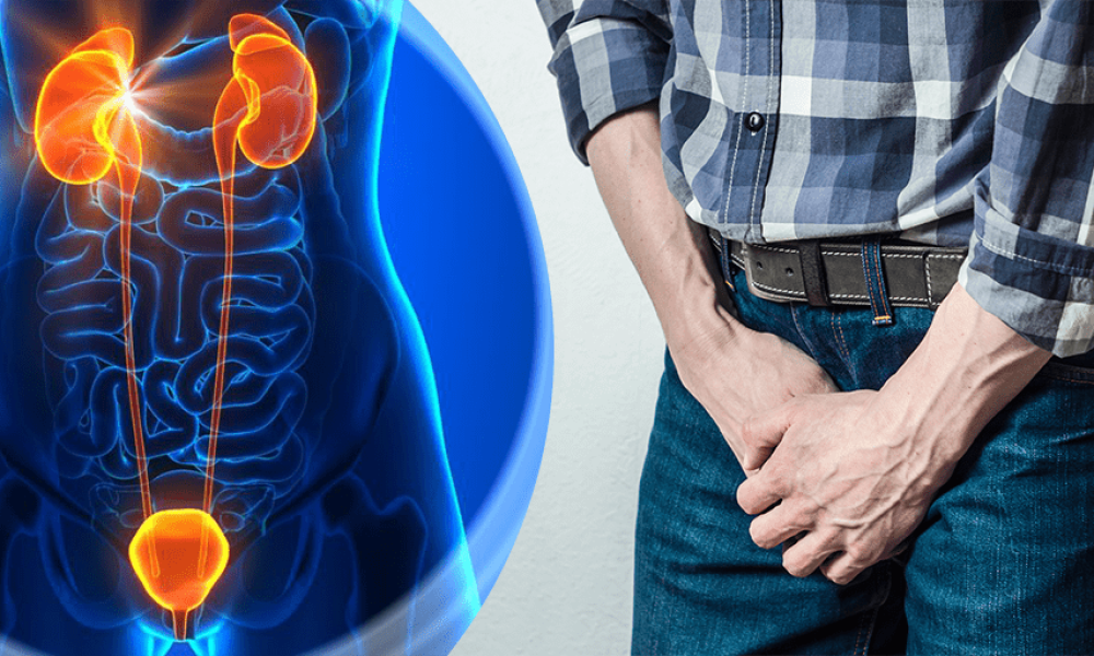 Prostate Health Market