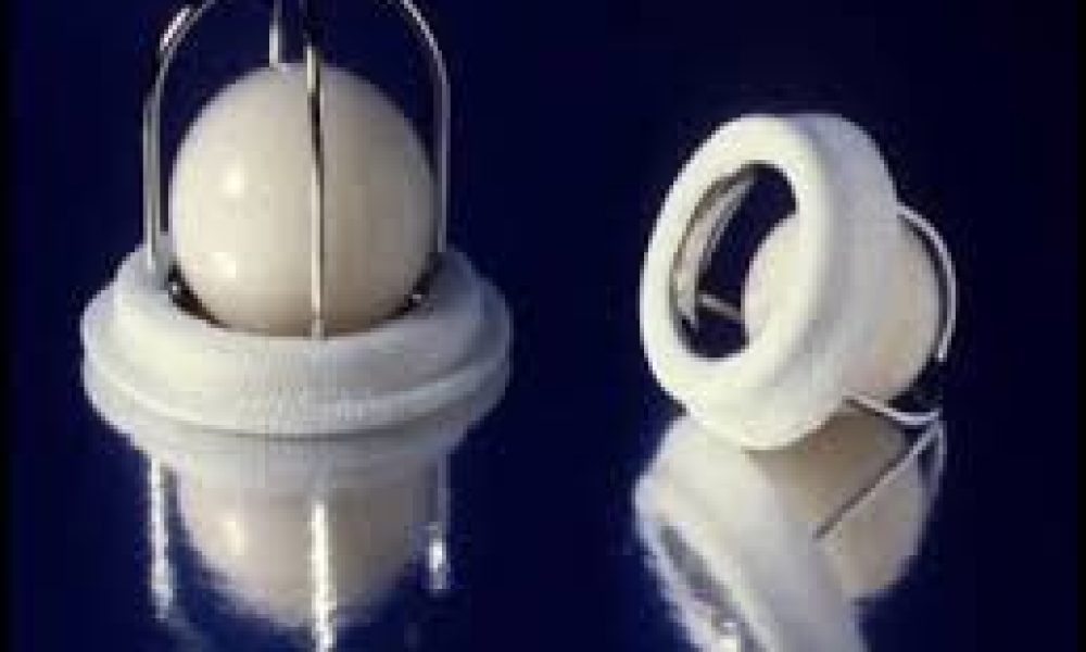 Prosthetic Heart Valve Market