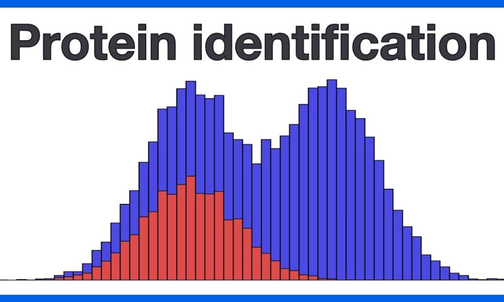 Protein Identification Analysis Market