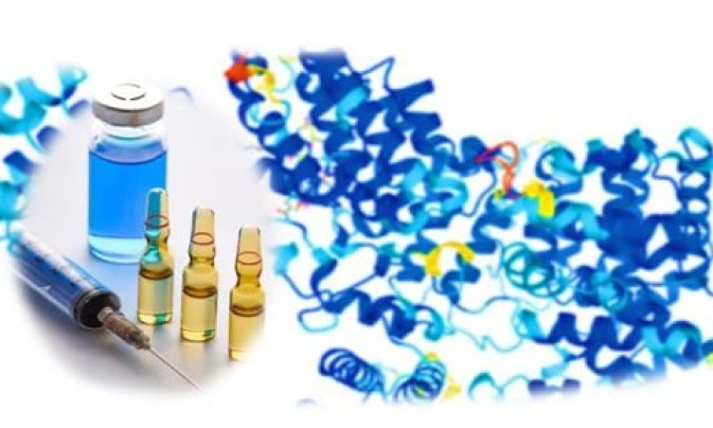 Protein Stability Analysis Market