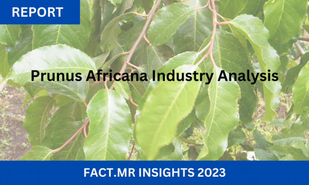 Prunus Africana Market Ongoing Trends and Recent Developments Newstrail
