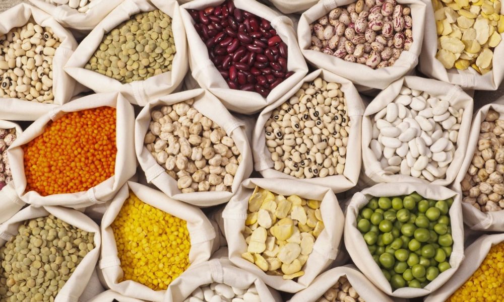 Global Pulses Market