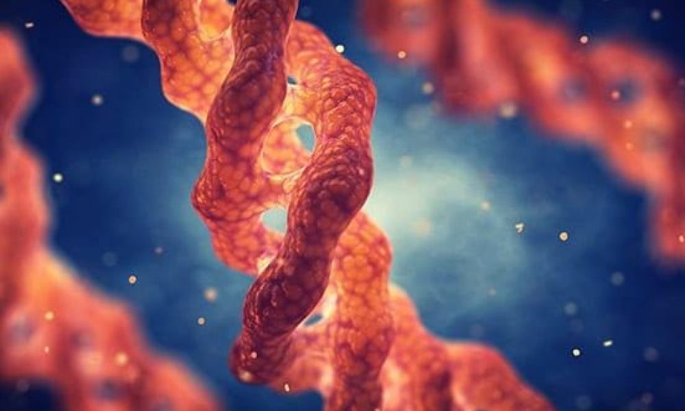 Purified Human Proteins Market