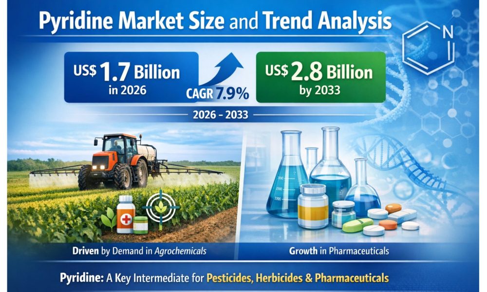 Pyridine Market