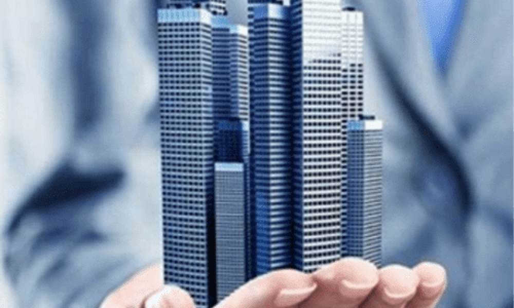 Real Estate Advisory Services