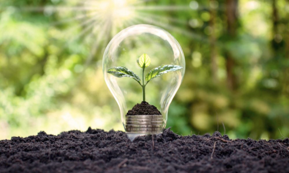Renewable Methanol Market