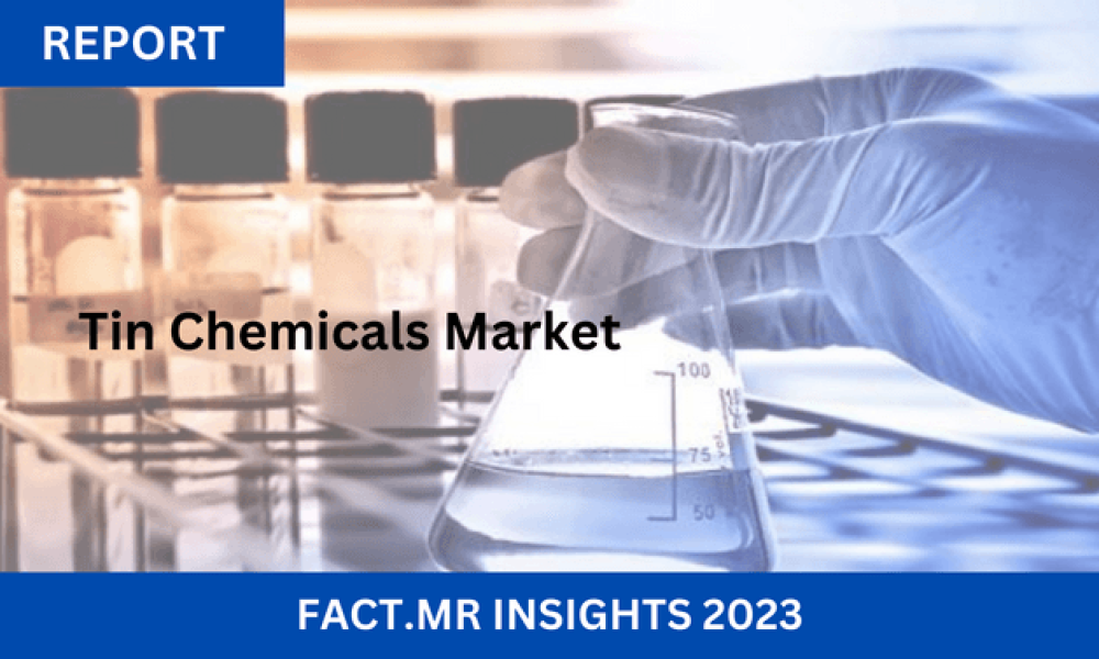 Tin Chemicals Market