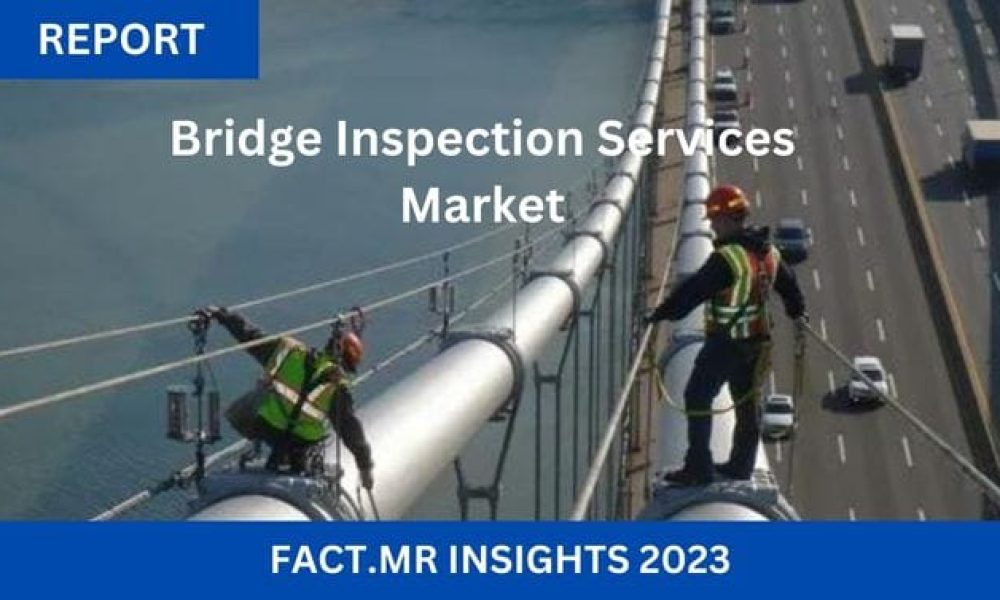 Bridge Inspection Services Market