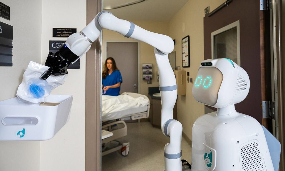 Healthcare Companion Robots Market