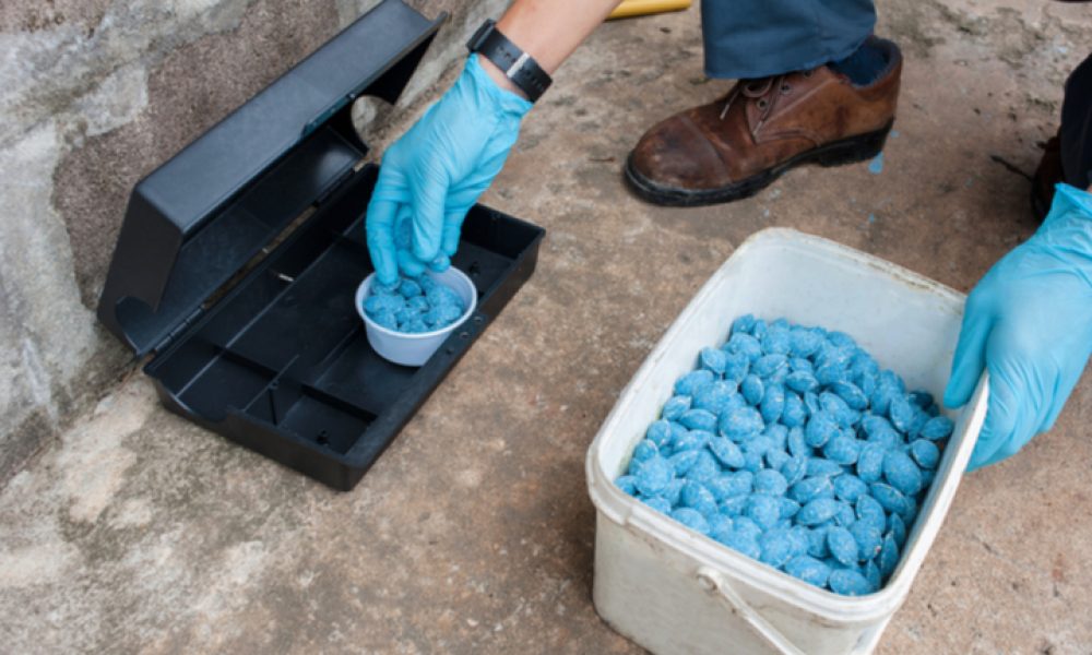 Rodent Control Market