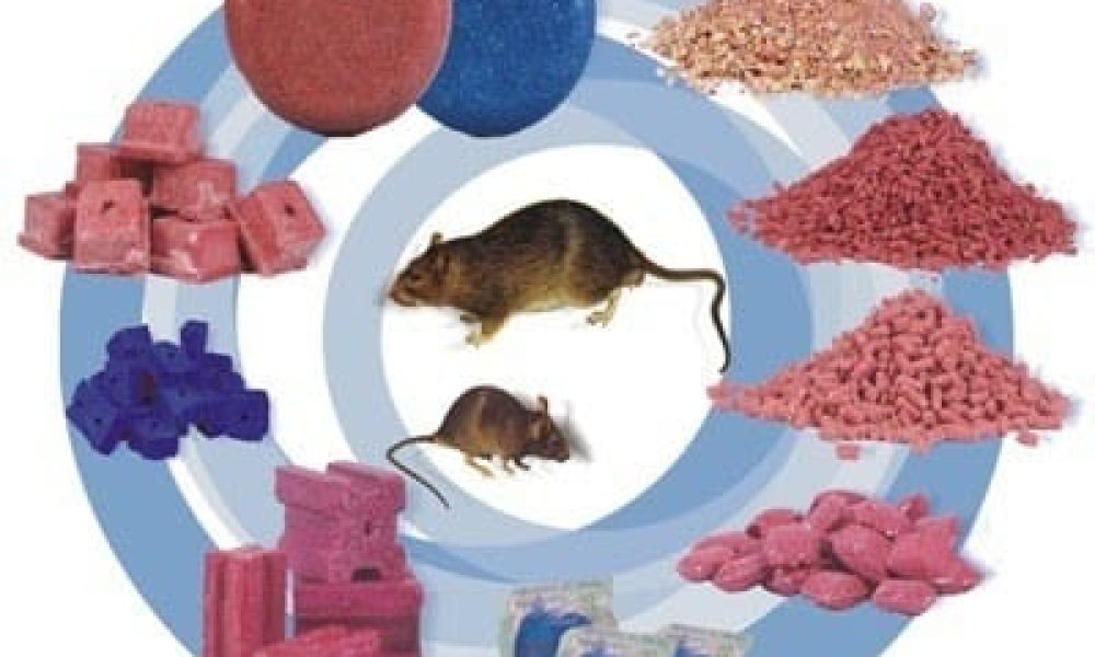 Rodenticides Market