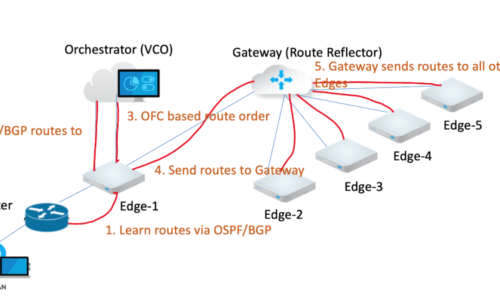 SD-WAN Router