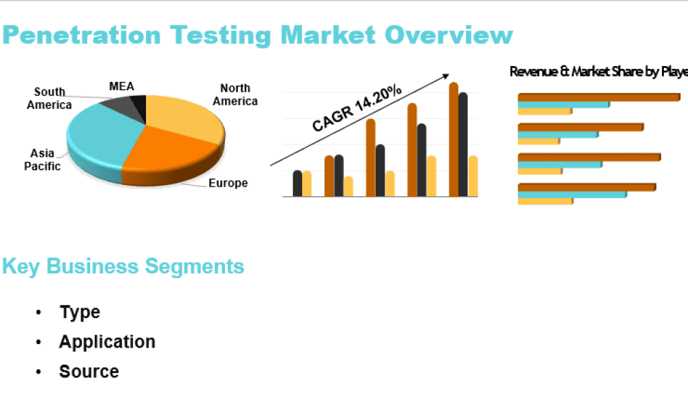Penetration Testing Market