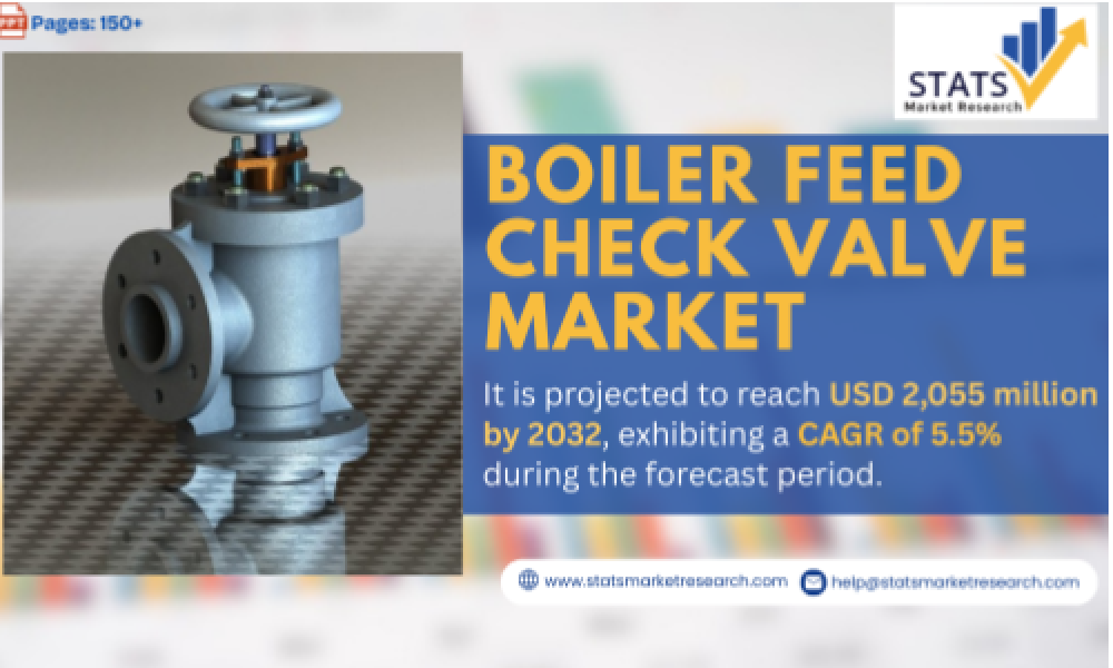 Boiler Feed Check Valve