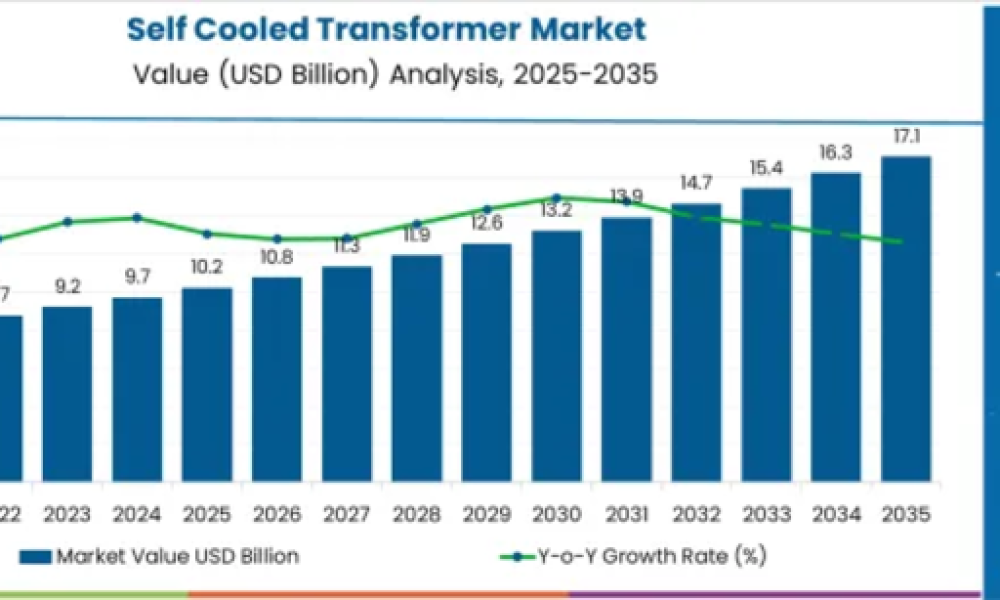 Self Cooled Transformer Market