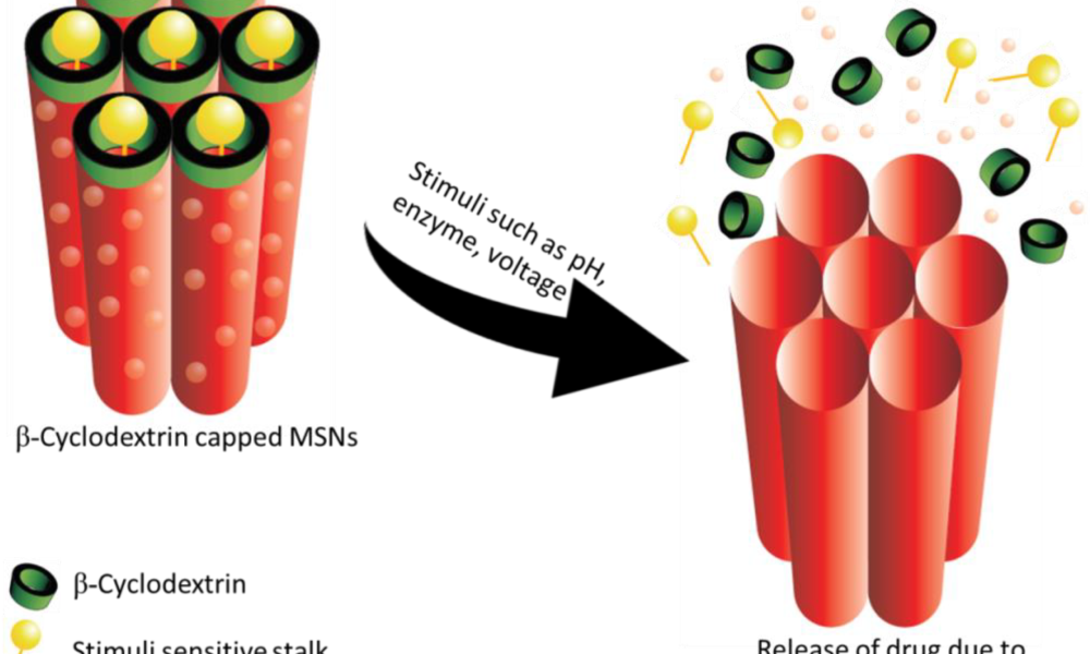 Silica Nanoparticles Market