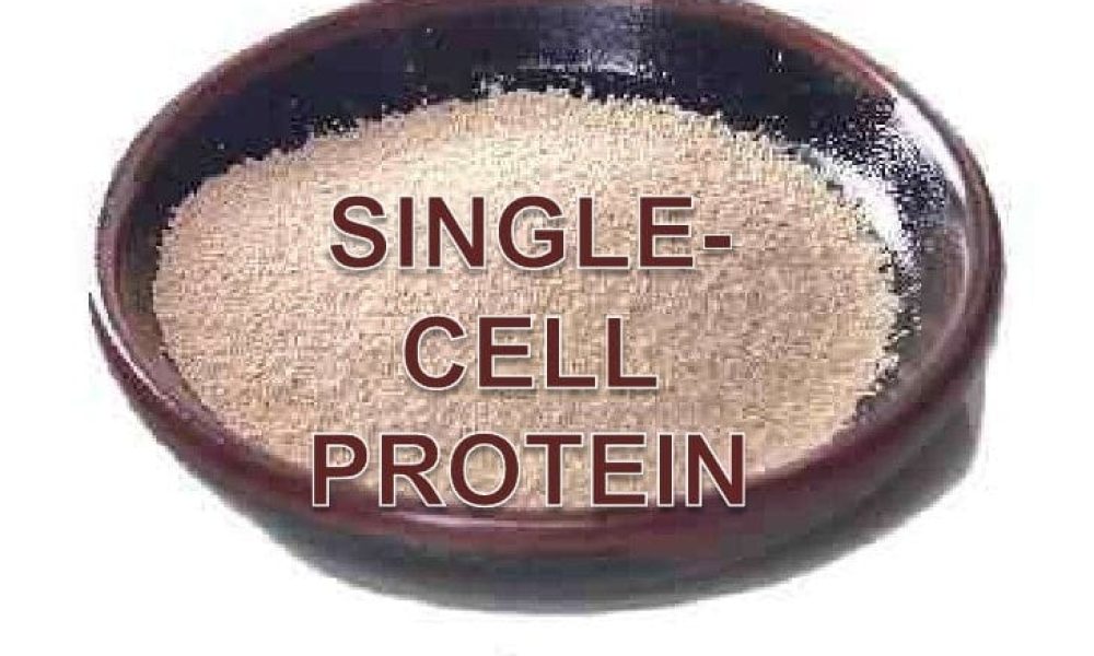 Single Cell Protein
