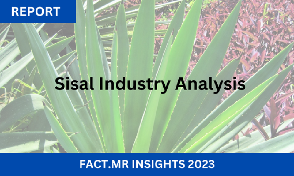 Sisal Market Shines The Sustainable Fiber's Growing Popularity Newstrail