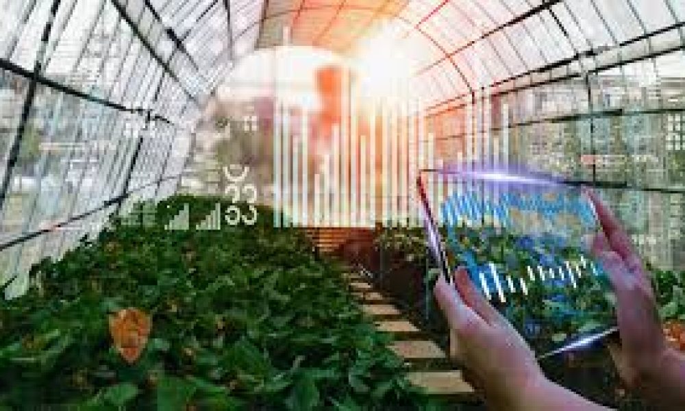Smart Greenhouse Market