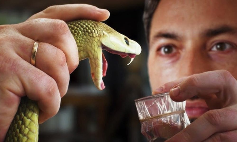 Snake Antivenom