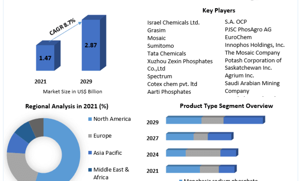 Sodium Phosphate Market