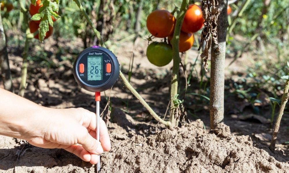 Soil Moisture Monitoring System Market
