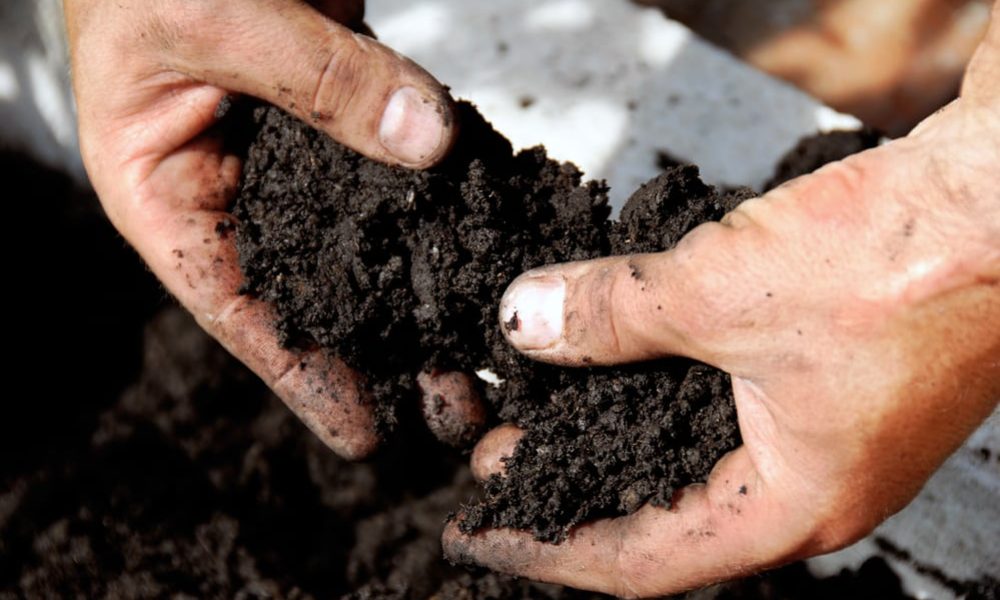 Soil Treatment Market