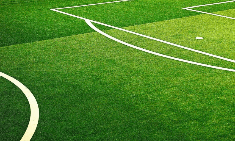 Sports Turf Seed Market