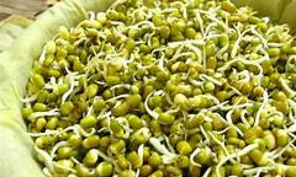 Sprouts
