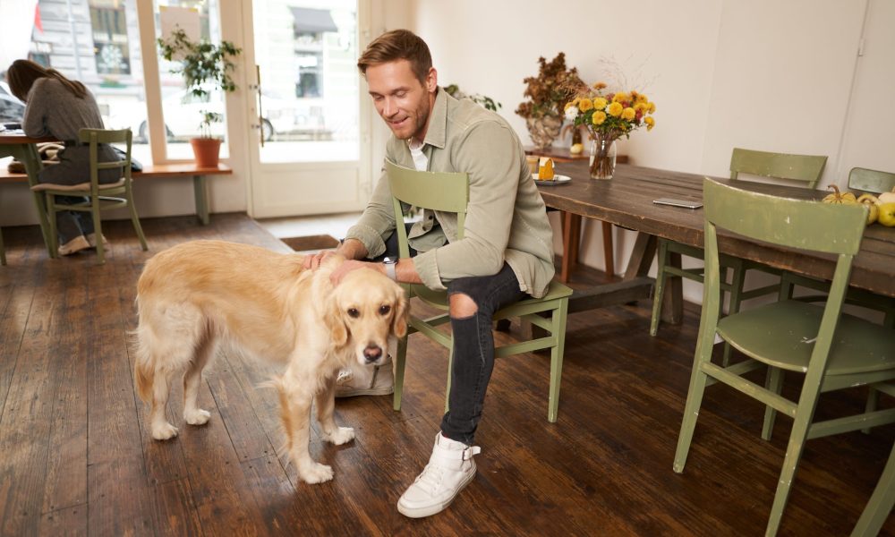 Step-by-Step Guide to Help Your Dog Adjust to Dog Daycare Easily
