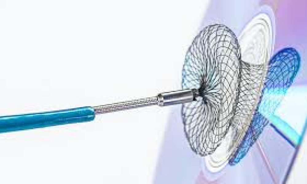 Structural Heart Devices Market