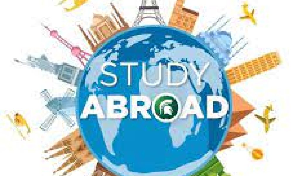 Study Abroad Agency Market