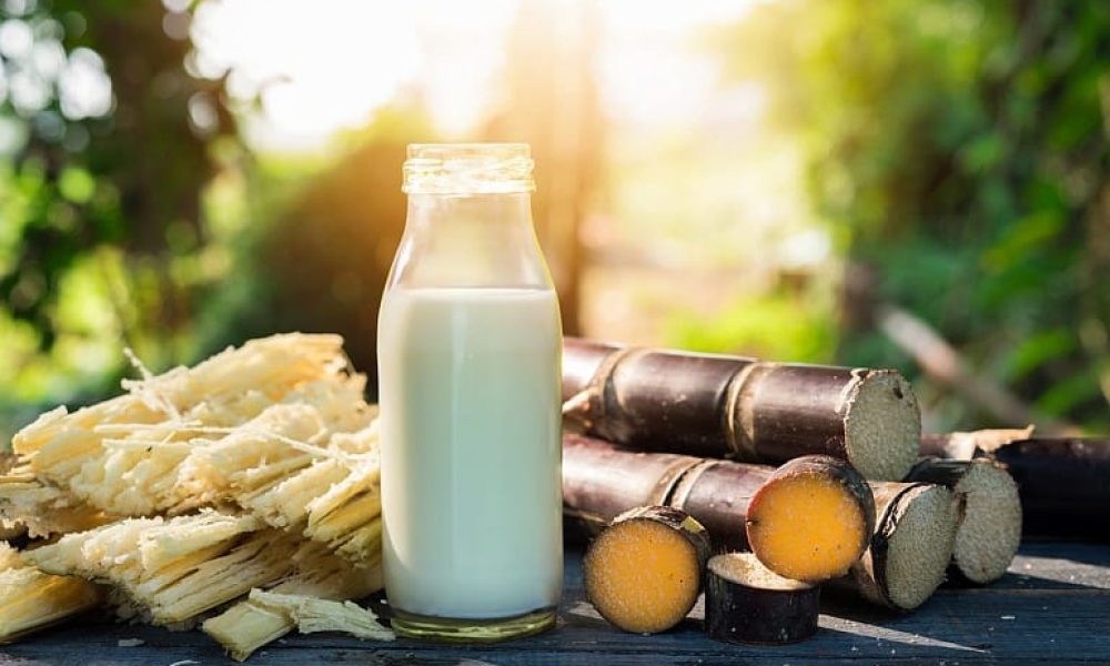 Sugarcane Packaging Market