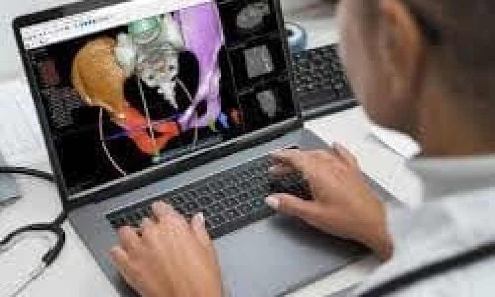 Surgical Planning Software Market Set for Explosive Growth with Stryker ...