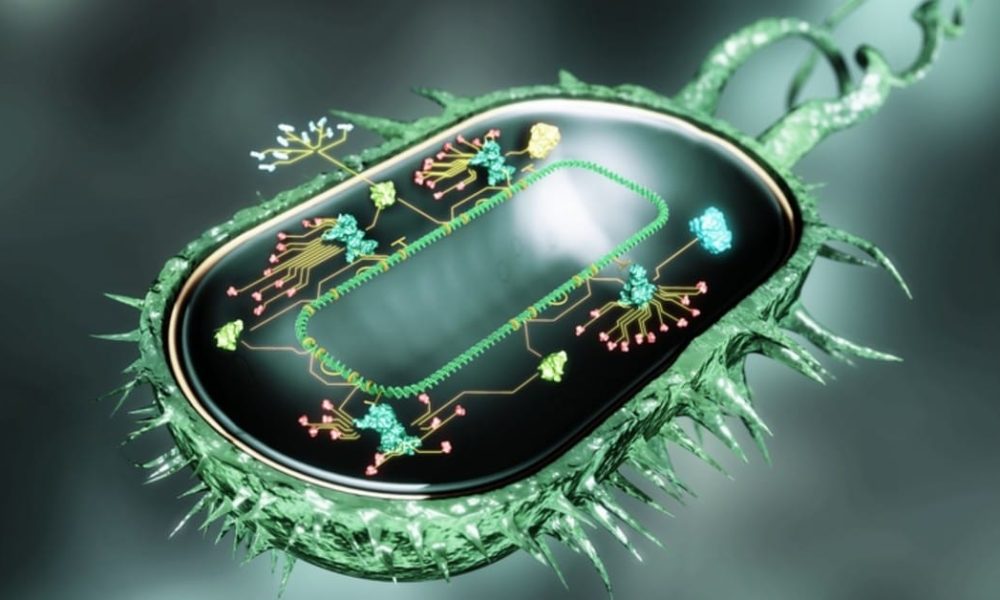 Synthetic Biology Market