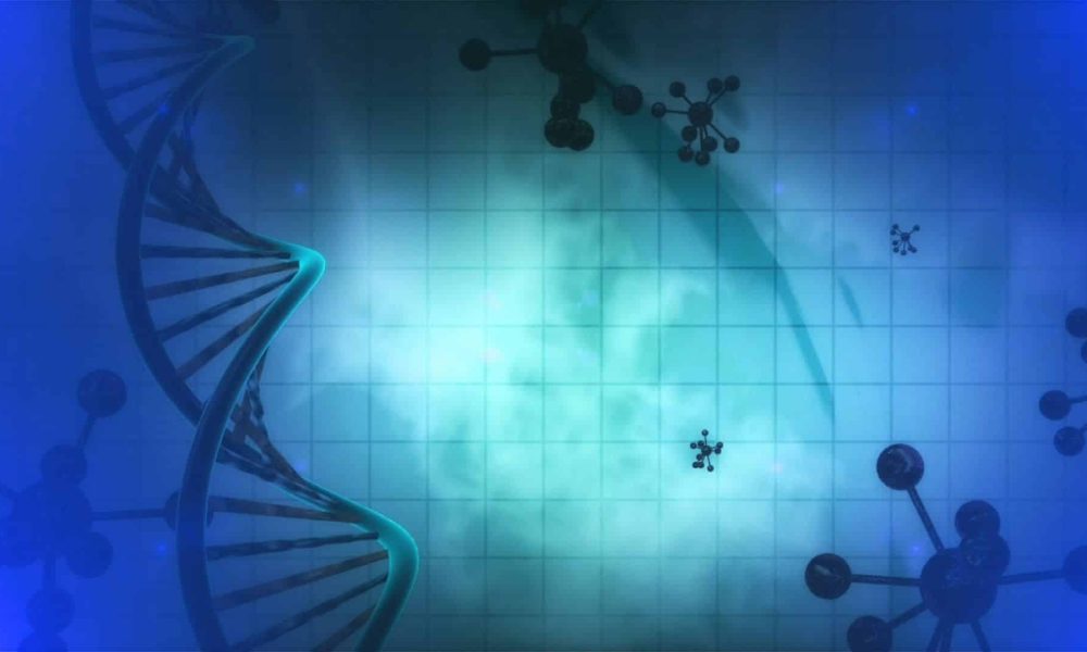 Synthetic Enzymes Market