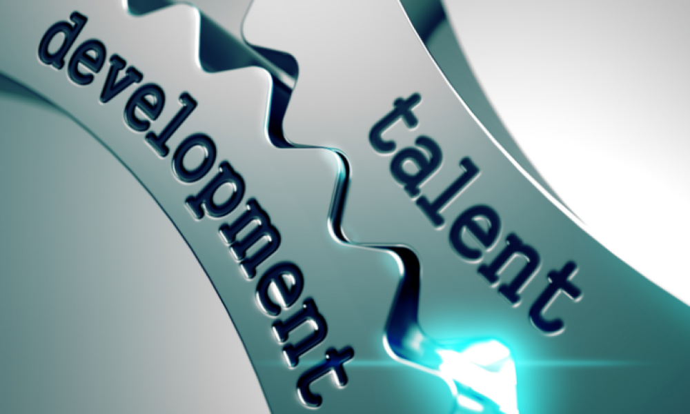 Talent Development Strategies Market
