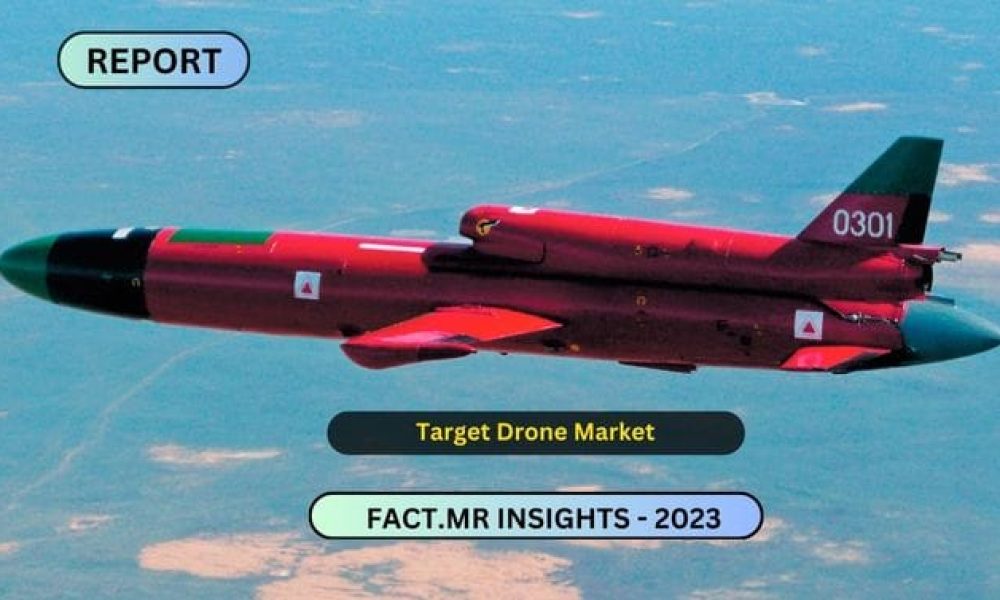 Target Drone Market