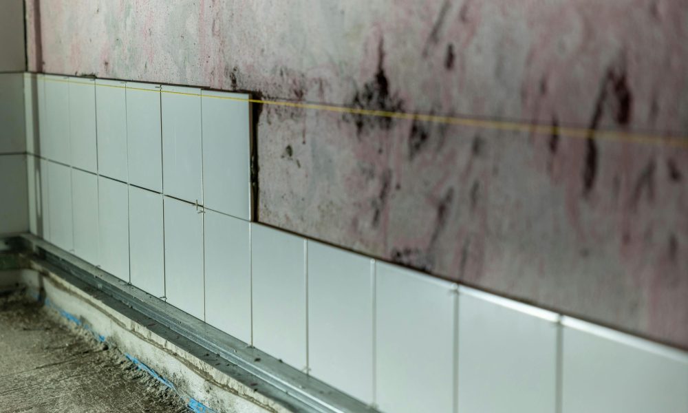 The 48-Hour Countdown How Fast Mold Grows After a Water Leak