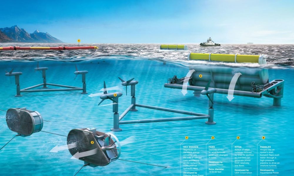Conversion of tidal energy.