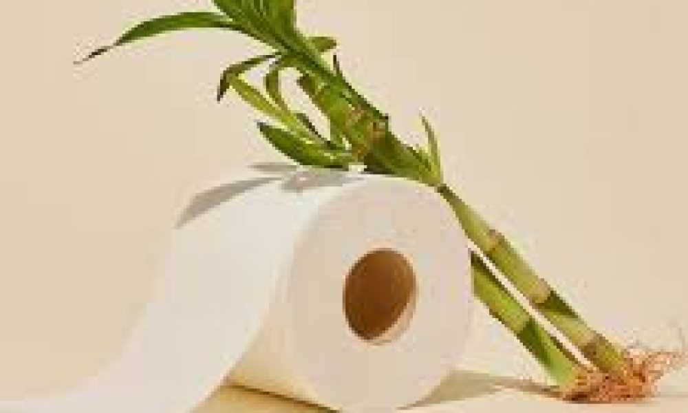 Toilet Paper market