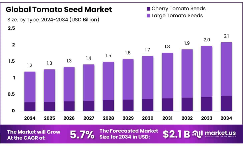 Tomato Seed Market