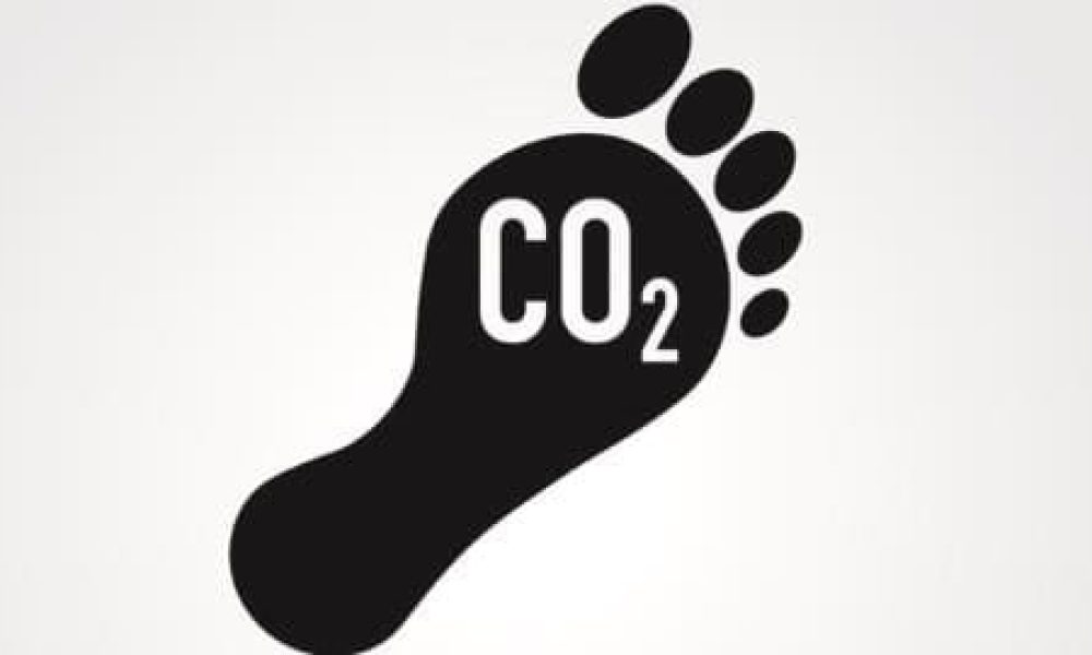 Track Carbon Footprint APP Market